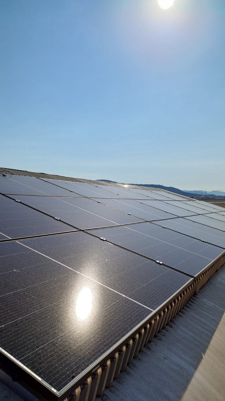 OringOne towards a sustainable future