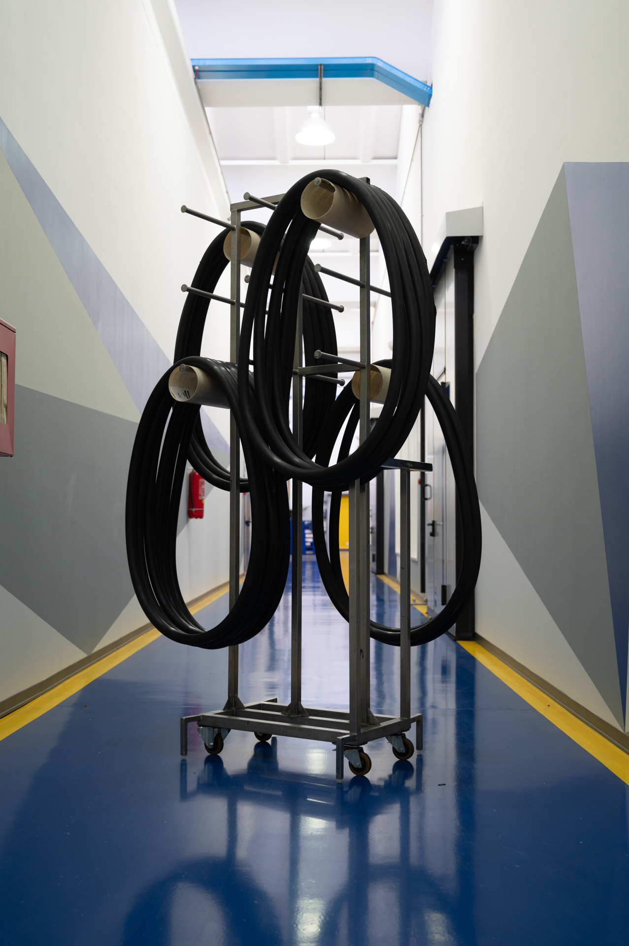 O-Rings