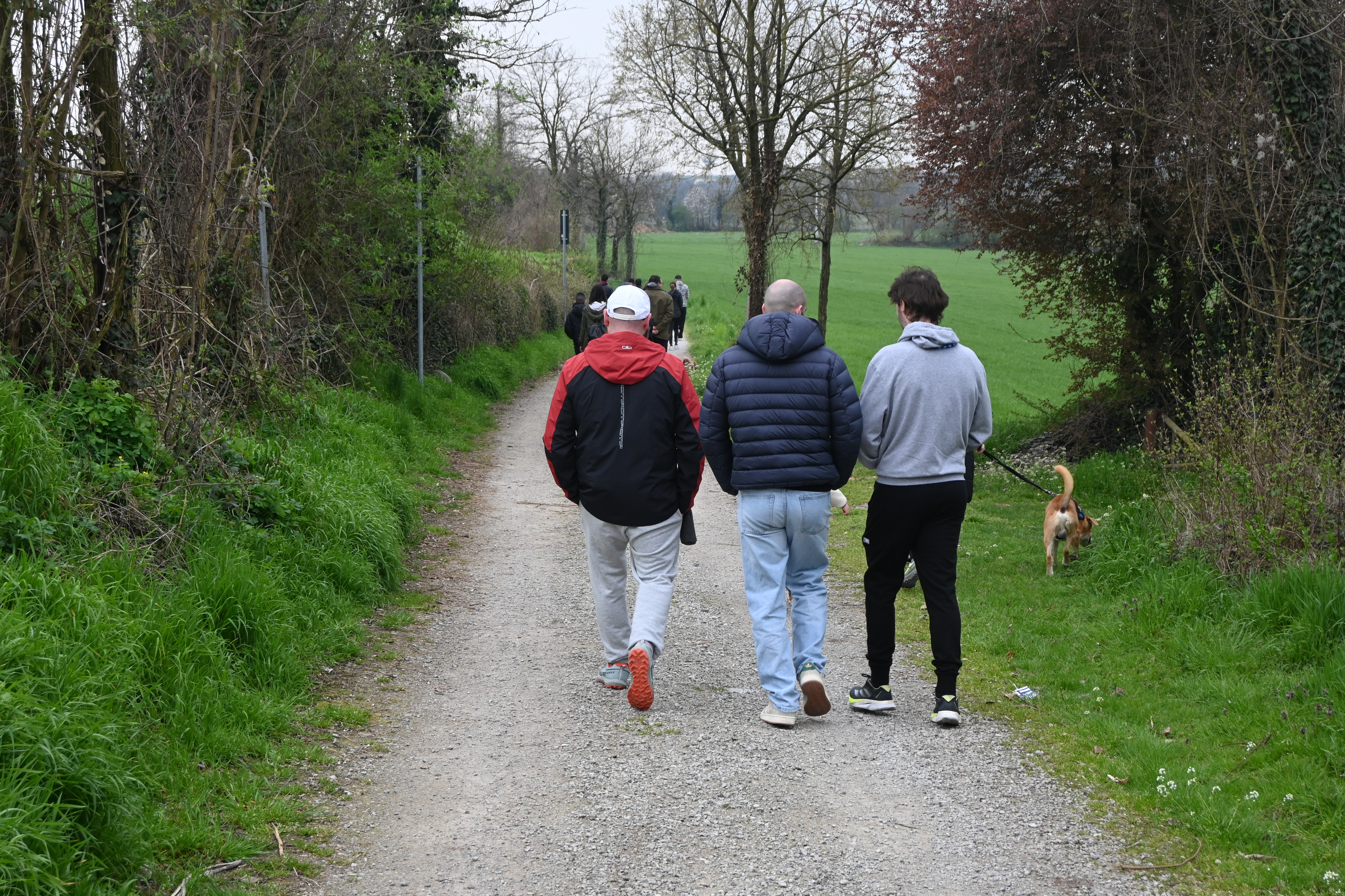 Walk Oringone 2026