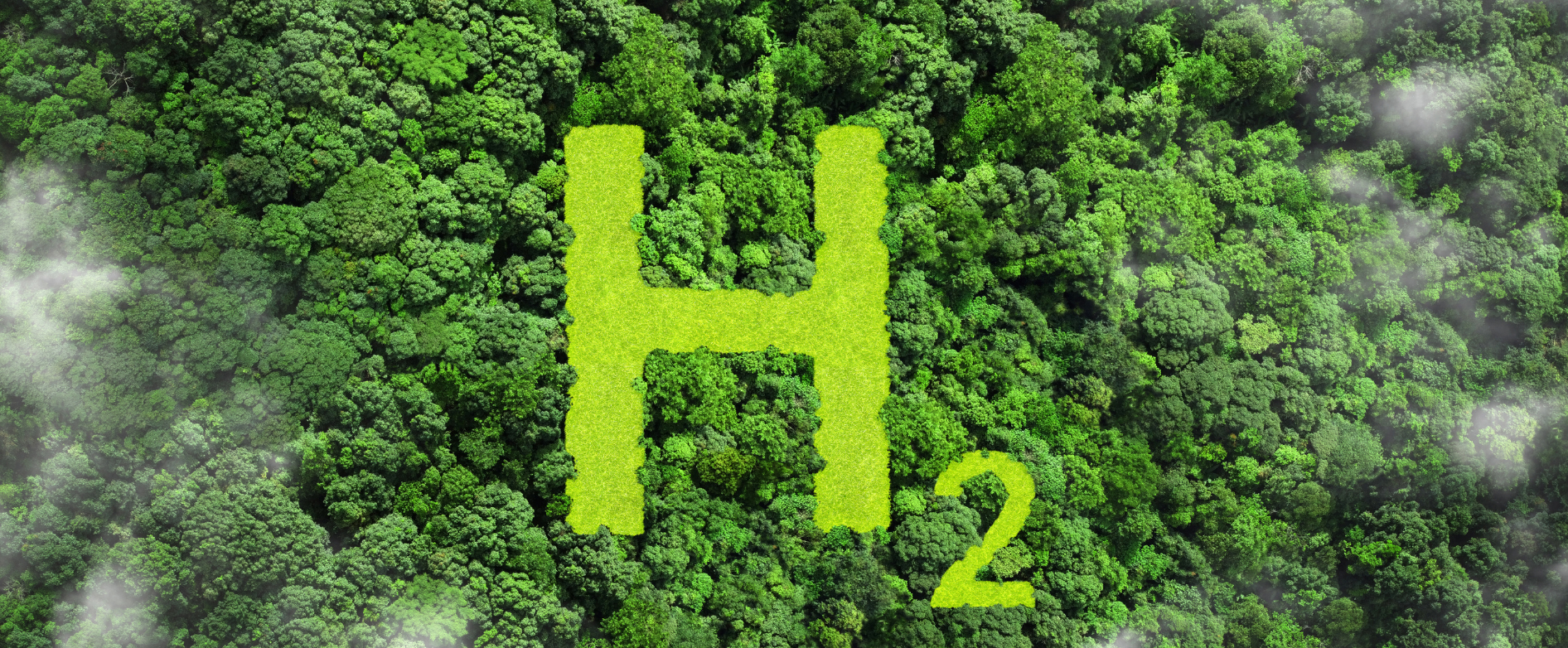 Safety and Innovation: O-Rings Hydrogen-Proof