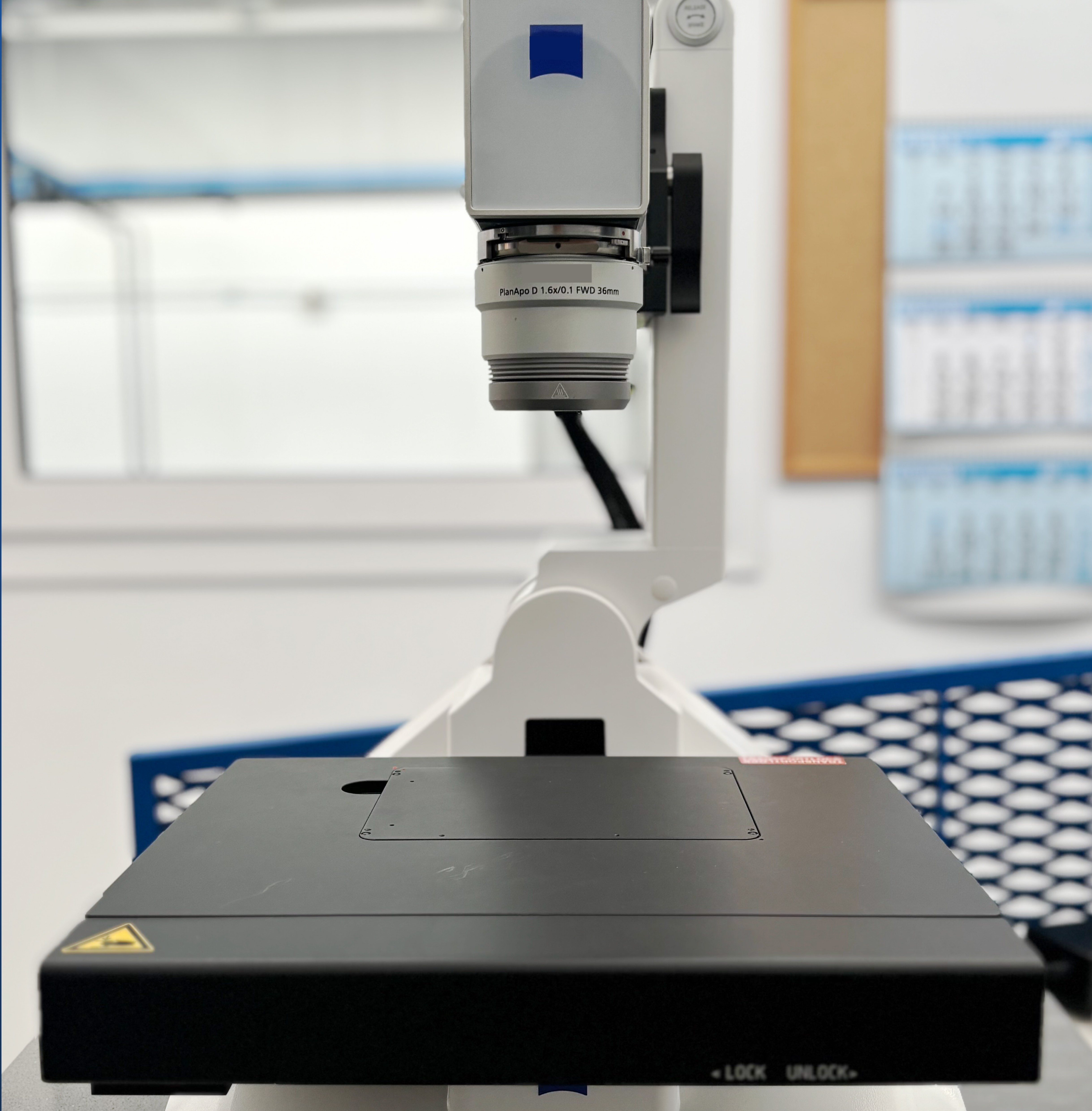 Lab Oringone